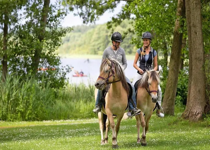 Mit Sauna Im Mirow בית נופש *